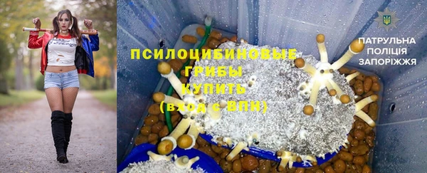 мяу мяу мука Арсеньев